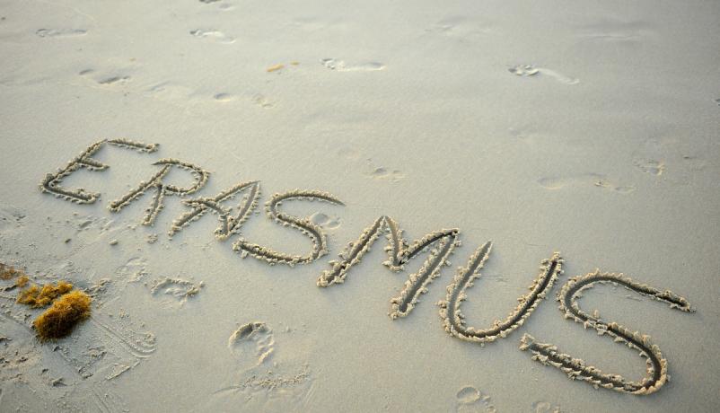 Programm Erasmus Programm Erasmus