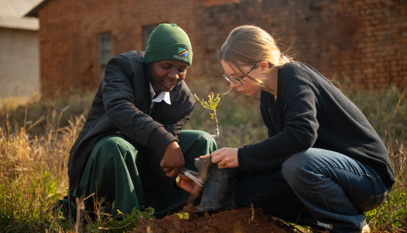 Zwei Jugendliche aus einer internationalen Schulpartnerschaft pflanzen gemeinsam einen Baum.