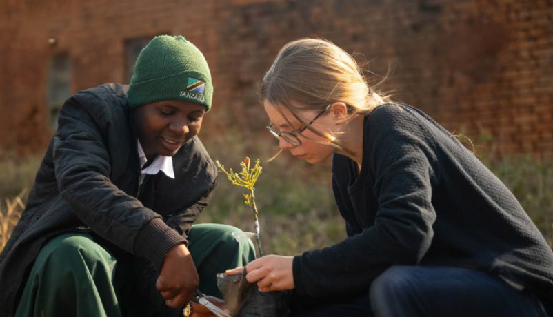 Zwei Jugendliche aus einer internationalen Schulpartnerschaft pflanzen gemeinsam einen Baum.
