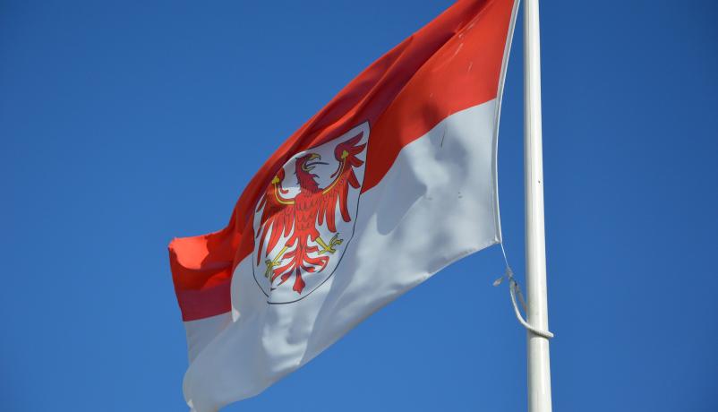 Flagge des Landes Brandenburg