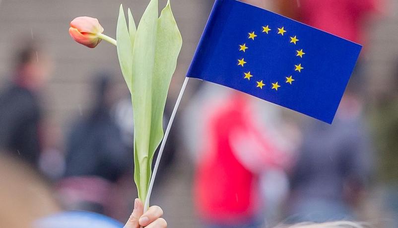 Europafaehnchen Europafaehnchen