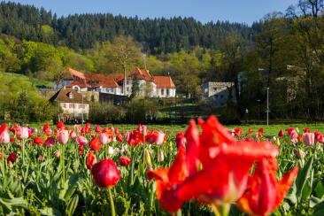 Blick auf den UWC Robert Bosch College Campus