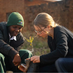 Zwei Jugendliche aus einer internationalen Schulpartnerschaft pflanzen gemeinsam einen Baum.