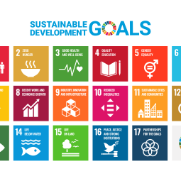 Die 17 Nachhaltigkeitsziele der Vereinten Nationen – Symbole der SDGs als Poster ohne UN-Emblem