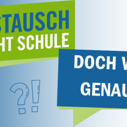 Reel-Reihe: "Austausch macht Schule - Doch wie genau?"