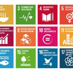 Sustainable Development Goals