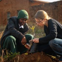 Zwei Jugendliche aus einer internationalen Schulpartnerschaft pflanzen gemeinsam einen Baum.